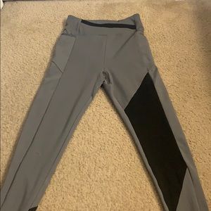 Gym shark leggings
